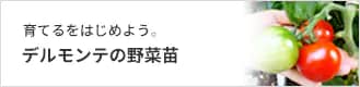 育てるをはじめよう。　デルモンテの野菜苗