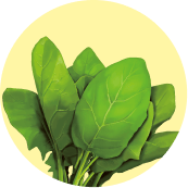 ほうれん草