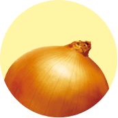 たまねぎ