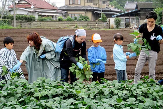 「食」体験学習