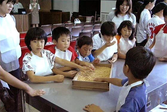 しょうゆづくり体験コース（小学校向け