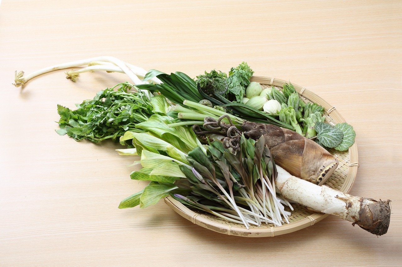 山菜・たけのこ