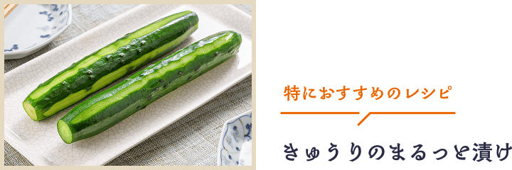 特におすすめのレシピ きゅうりのまるっと漬け