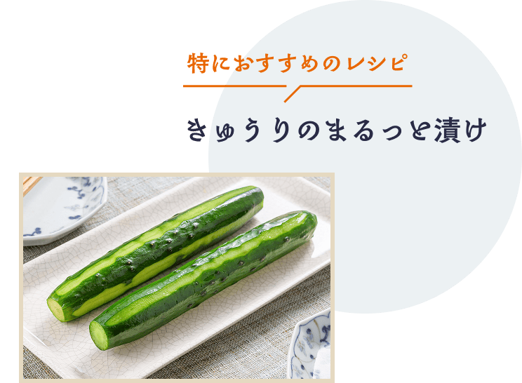 特におすすめのレシピ きゅうりのまるっと漬け