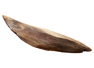 画像：かつお写真