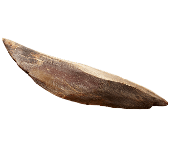 画像：かつお写真