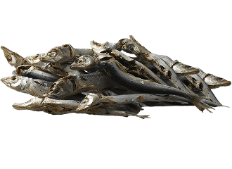 画像：うるめいわし写真