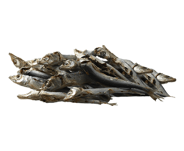 画像：うるめいわし写真