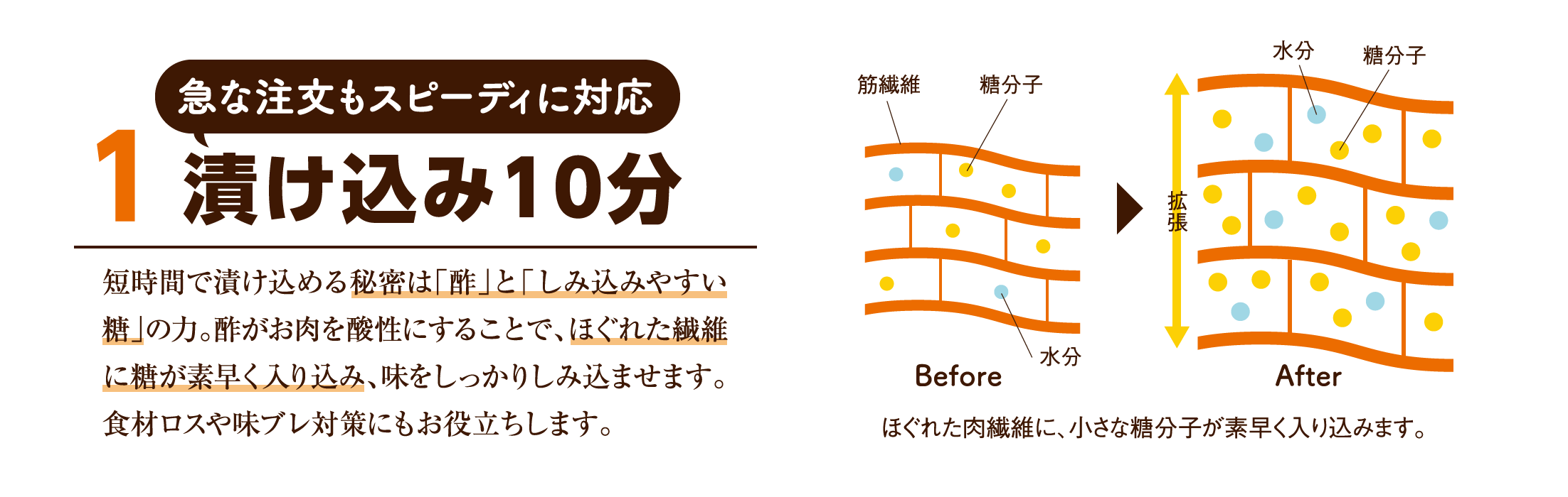 急な注文もスピーディに対応 (1)漬け込み10分 短時間で漬け込める秘密は「酢」と「しみ込みやすい糖」の力。酢がお肉を酸性にすることで、ほぐれた繊維に糖が素早く入り込み、味をしっかりしみ込ませます。食材ロスや味ブレ対策にもお役立ちします。