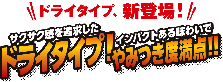 ドライタイプ、新登場！サクサク感を追求したドライタイプ！インパクトある味わいでやみつき感満点！！