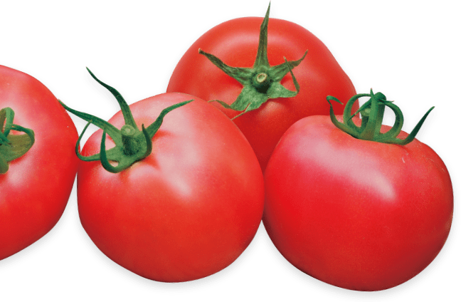 トマト　イメージ