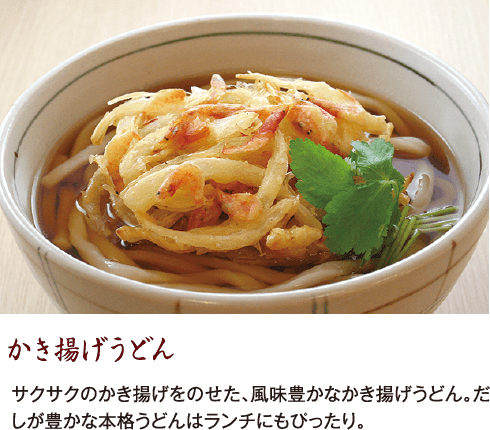 かき揚げうどん サクサクのかき揚げをのせた、風味豊かなかき揚げうどん。だしが豊かな本格うどんはランチにもぴったり。