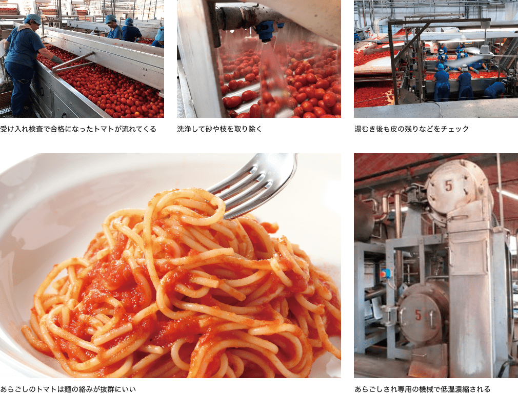 パッサータ・ハイブリックス」はトマトがまるごと入っている イメージ