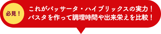 必見！これがパッサータ・ハイブリックスの実力！イメージ