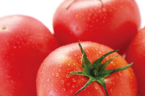 トマトを1.5倍、リコピンも1.5倍