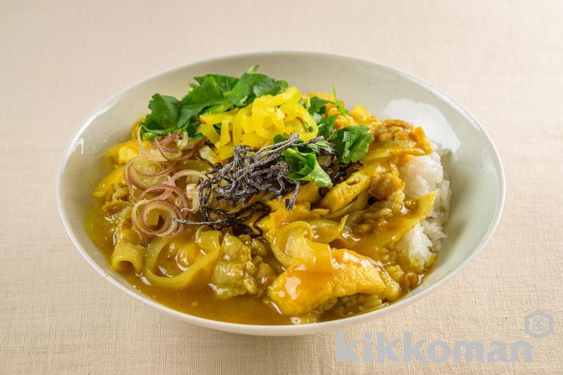 豚バラ肉と油揚げ、玉ねぎのしょうゆカレー
