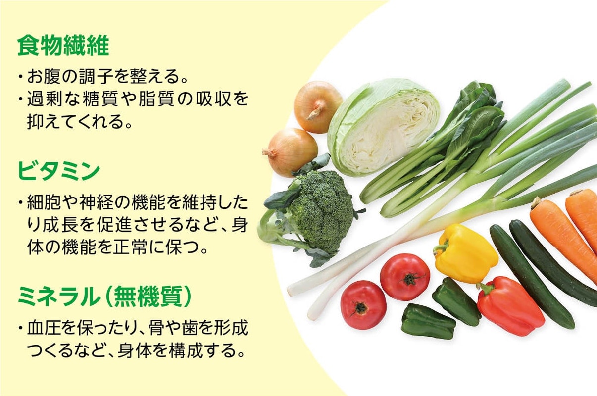 野菜に含まれる栄養素のイメージ。食物繊維……お腹の調子を整える。過剰な糖質や脂質の吸収を抑えてくれる。ビタミン……細胞や神経の機能を維持したり成長を促進させるなど、身体の機能を正常に保つ。ミネラル（無機質）……血圧を保ったり、骨や歯を形成するなど、身体を構成する。