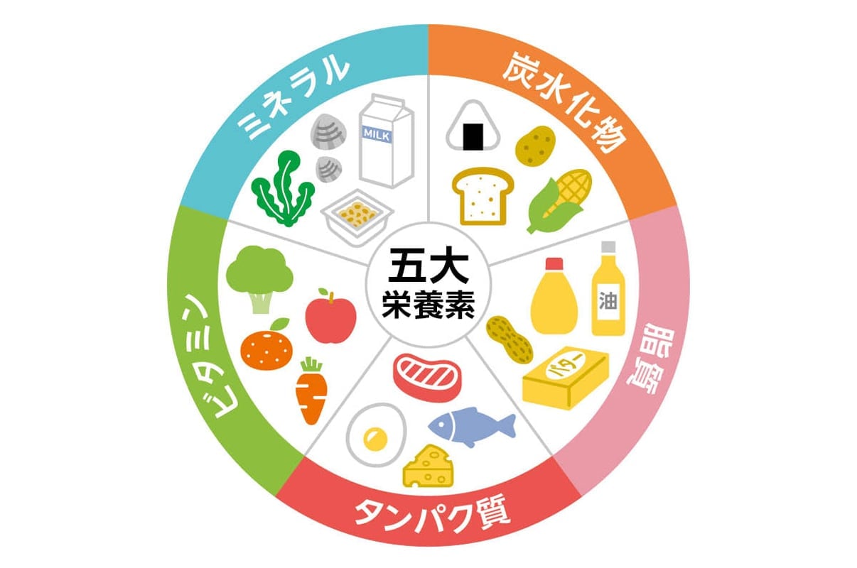 炭水化物、脂質、たんぱく質、ビタミン、ミネラルからなる五大栄養素の、代表的な食材の図