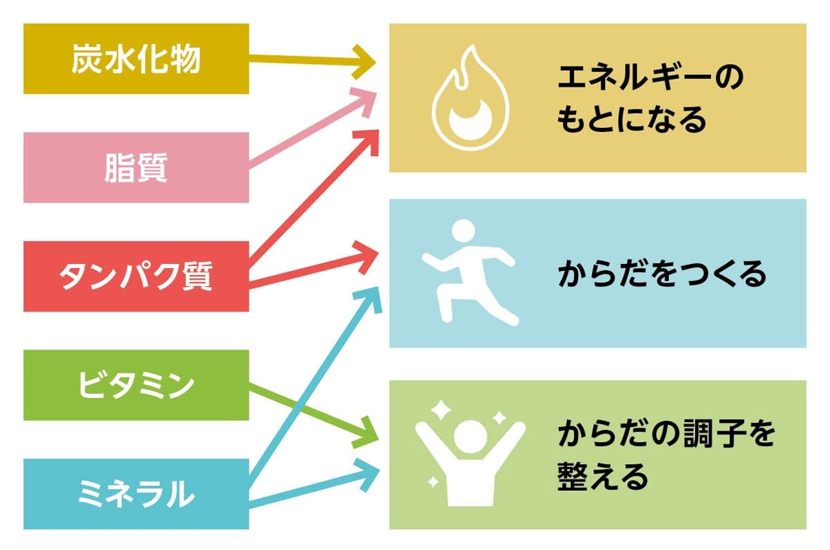 五大栄養素の働きについての図。エネルギーのもとになる……炭水化物、脂質、たんぱく質。からだを作る……たんぱく質、ミネラル。からだの調子を整える……ビタミン、ミネラル。