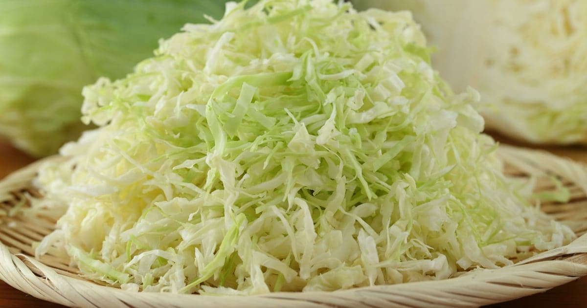 キャベツの千切りの簡単なやり方！保存方法（冷凍・冷蔵・塩もみ）も紹介 | キッコーマン | ホームクッキング