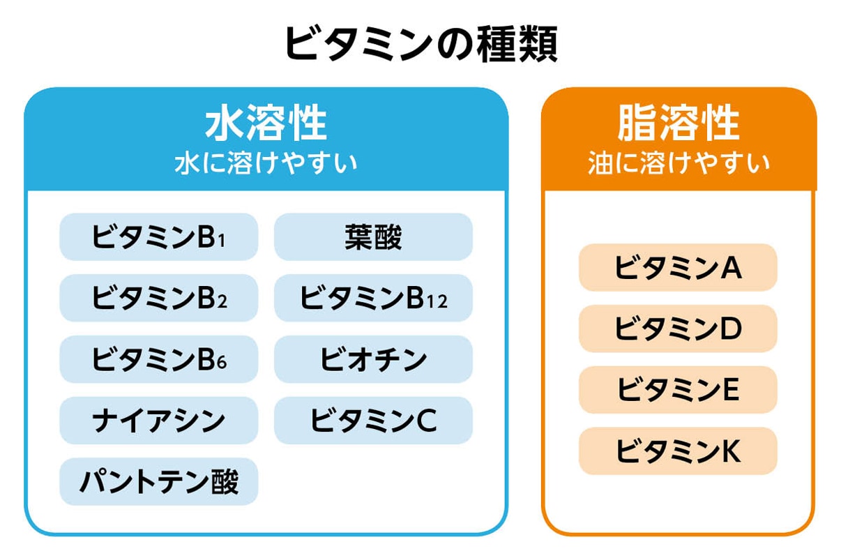 写真：ビタミンの種類