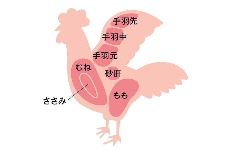 イラスト:鶏肉の部位