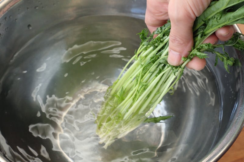 写真:水菜の根元を洗う