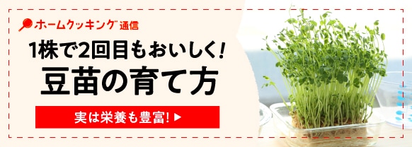 プロに聞く豆苗の育て方。生でも食べられる？栄養価やおすすめの食べ方、保存方法も！