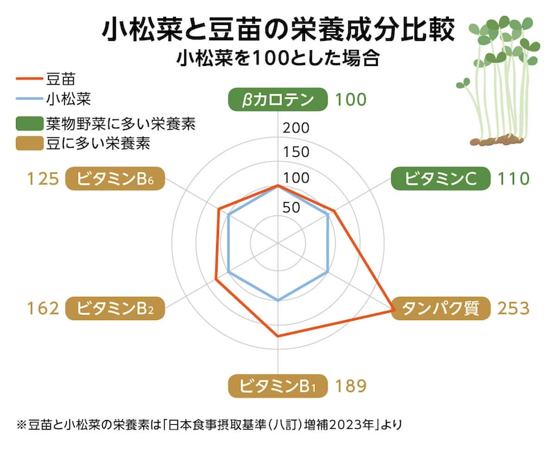 画像：小松菜と豆苗の栄養成分比較