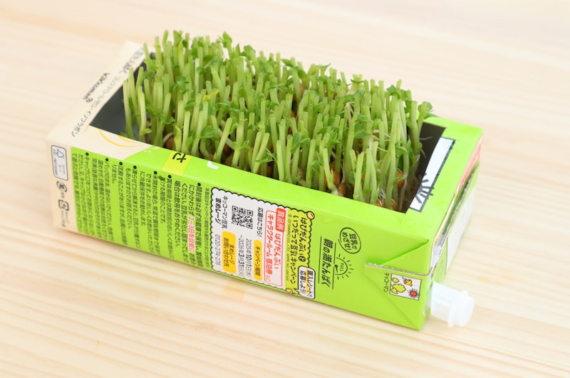 写真：豆苗の大きさにぴったりフィットした豆乳のパッケージ