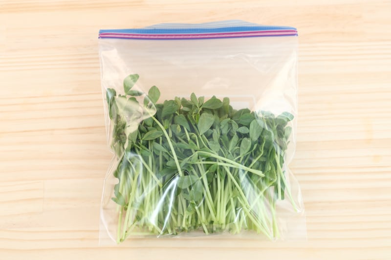 写真：カットしたものは保存袋に入れ冷蔵庫へ