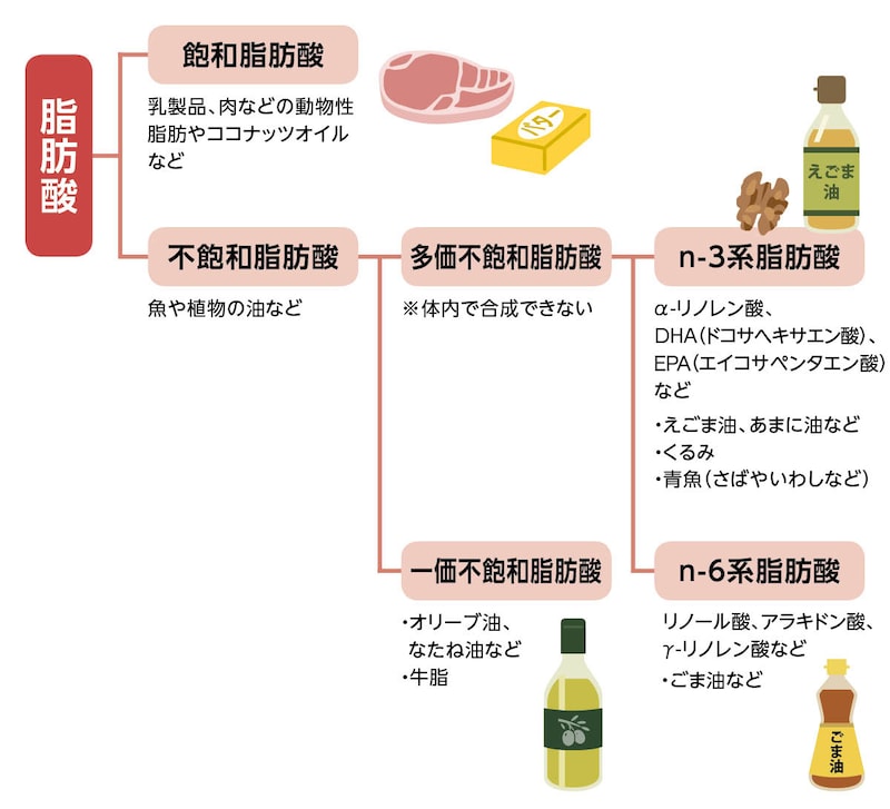 画像：脂肪酸の種類