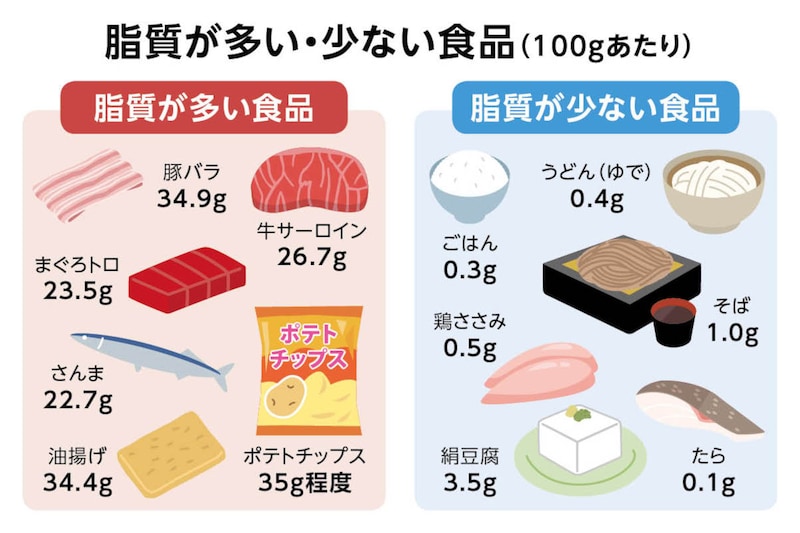画像：脂質が多い・少ない食品