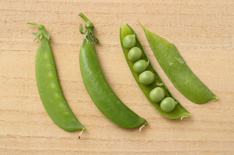 写真：左から、さやえんどう、スナップえんどう、グリーンピース