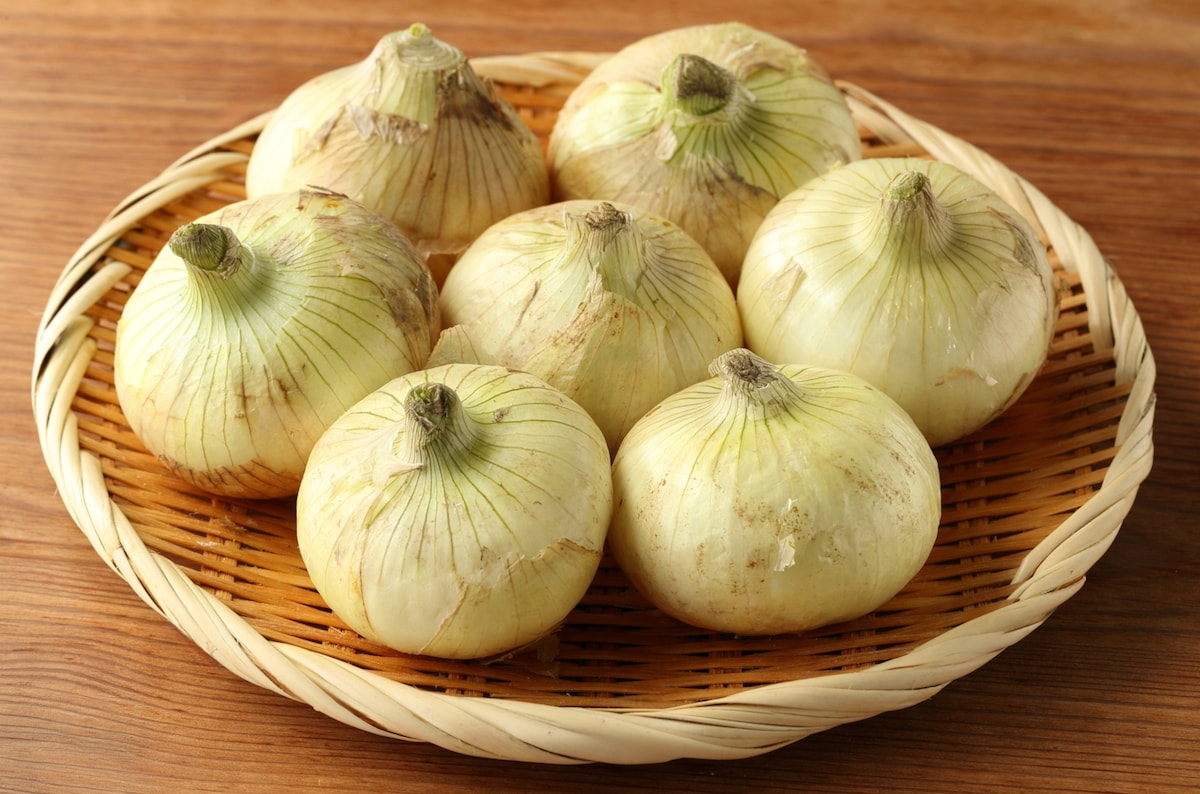 新玉ねぎの保存方法と、おいしく食べるための扱い方。選び方やおすすめレシピも紹介