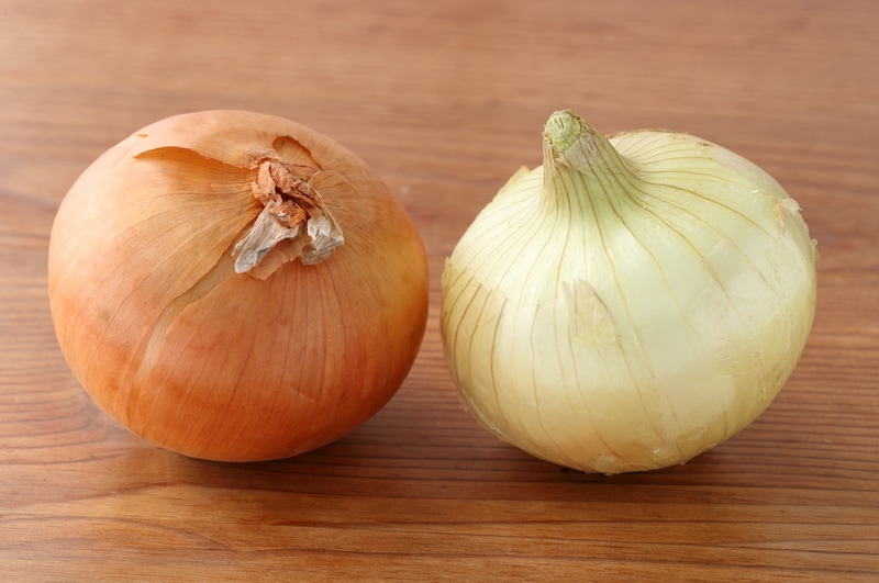 写真：（左側）外皮が茶色い玉ねぎ（右側）新玉ねぎ