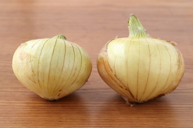 写真：（左側）時間が経ったもの（右側）新鮮なもの