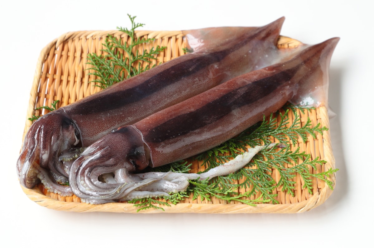 初めてでも簡単！いかのさばき方をていねいに解説。選び方・保存のコツ・おすすめレシピも