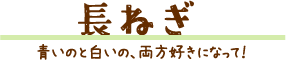 長ねぎ 青いのと白いの、両方好きになって！