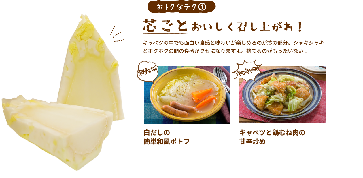 おトクなテク①芯ごとおいしく召し上がれ​！キャベツの中でも面白い食感と味わいが楽しめるのが芯の部分。シャキシャキとホクホクの間の食感がクセになりますよ。捨てるのがもったいない！白だしの簡単和風ポトフ キャベツと鶏むね肉の甘辛炒め