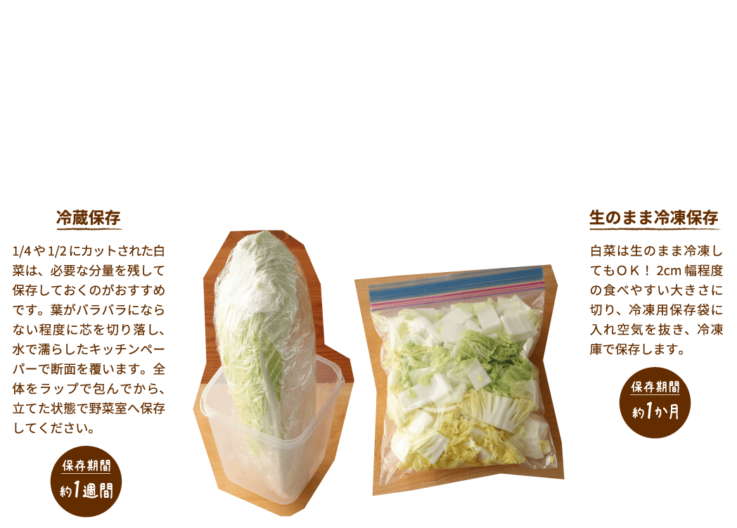 基本の保存方法 ビタミンCやカルシウムが含まれている白菜ですが、なんと全体の約95％が水分。白菜を上手に保存するなら、この水分をいかに残すかが肝心です。芯を残しておくと成長が止まらず日持ちしにくくなるので、保存する前に取っておきましょう。冷蔵保存1/4や1/2にカットされた白菜は、必要な分量を残して保存しておくのがおすすめです。葉がバラバラにならない程度に芯を切り落し、水で濡らしたキッチンペーパーで断面を覆います。全体をラップで包んでから、立てた状態で野菜室へ保存してください。保存期間約1週間 生のまま冷凍保存 白菜は生のまま冷凍してもＯＫ！2cm幅程度の食べやすい大きさに切り、冷凍用保存袋に入れ空気を抜き、冷凍庫で保存します。保存期間約1か月