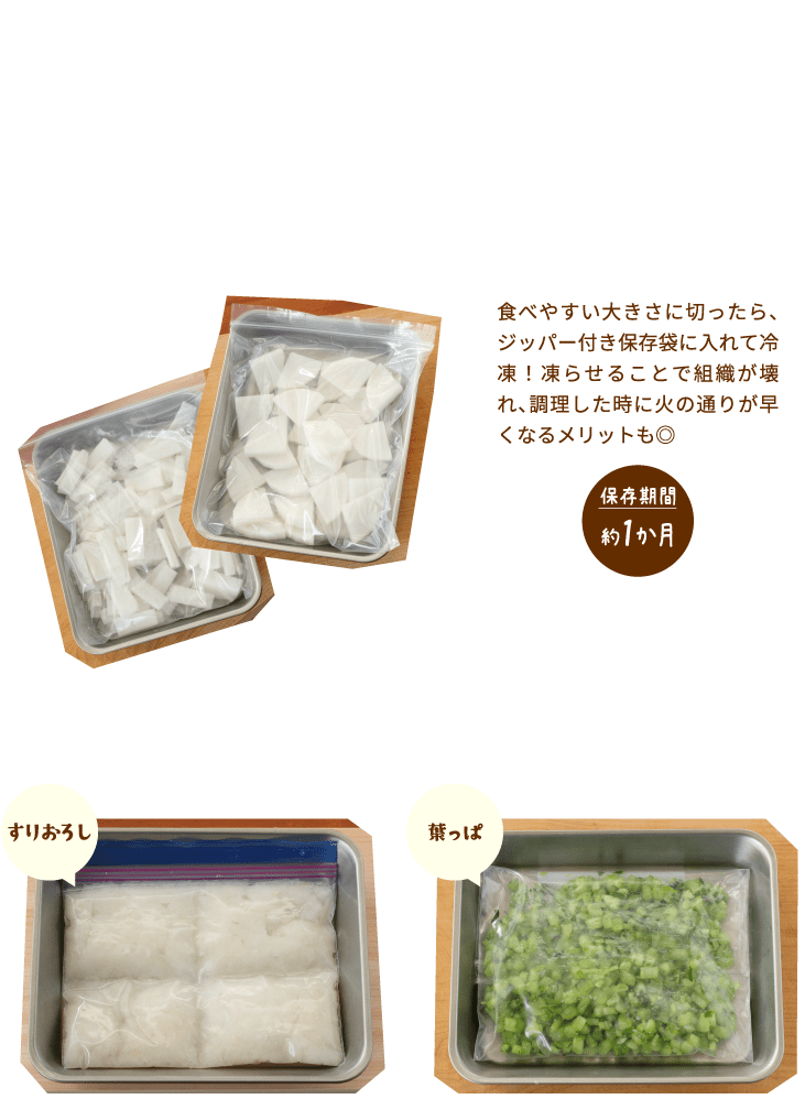 大根の冷凍保存大切なポイント！使いやすいサイズに切って冷凍！食べやすい大きさに切ったら、ジッパー付き保存袋に入れて冷凍！凍らせることで組織が壊れ、調理した時に火の通りが早くなるメリットも保存期間約1か月 すりおろしてから冷凍！葉っぱも冷凍ＯＫ！