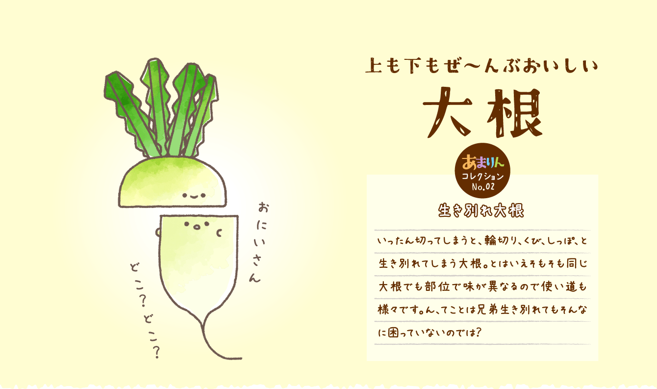 上も下もぜ～んぶおいしい大根 生き別れ大根いったん切ってしまうと、輪切り、くび、しっぽ、と生き別れてしまう大根。とはいえそもそも同じ大根でも部位で味が異なるので使い道も様々です。ん、てことは兄弟生き別れてもそんなに困っていないのでは？