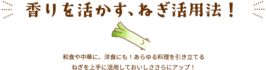 香りを活かす、ねぎ活用法！和食や中華に、洋食にも！あらゆる料理を引き立てるねぎを上手に活用しておいしささらにアップ！