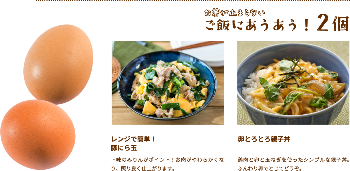 お箸が止まらないご飯にあうあう！2個レンジで簡単！
											豚にら玉 下味のみりんがポイント！お肉がやわらかくなり、照り良く仕上がります。卵とろとろ親子丼鶏肉と卵と玉ねぎを使ったシンプルな親子丼。ふんわり卵でとじてどうぞ。