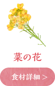 菜の花