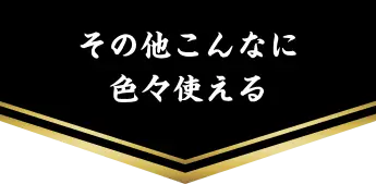 その他こんなに色々使える