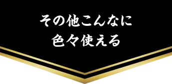 その他こんなに色々使える