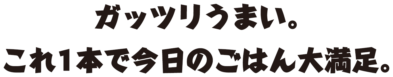 ガッツリうまい。これ1本で今日のごはん大満足。