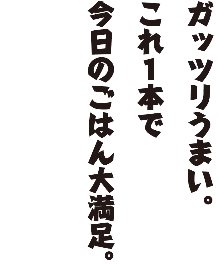 ガッツリうまい。これ1本で今日のごはん大満足。